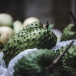 7 Pilar Kesehatan Holistik untuk hidup sehat dan seimbang