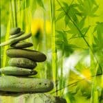 Konsep dasar kesehatan holistik melalui Believe, Holistic, Wellness, Intention, dan Smile