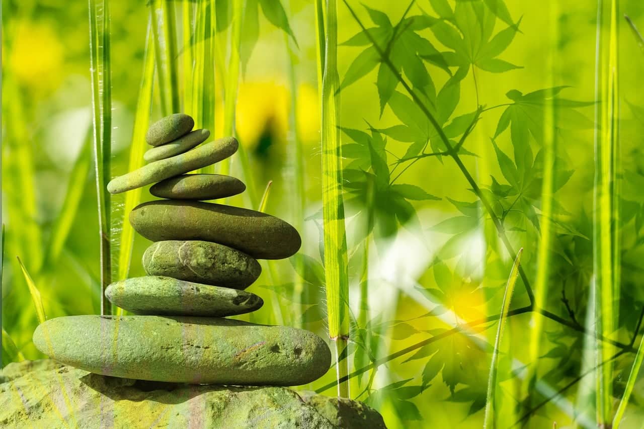 Konsep dasar kesehatan holistik melalui Believe, Holistic, Wellness, Intention, dan Smile